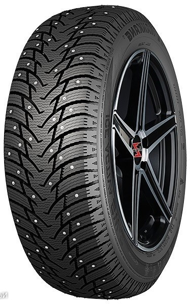 Nankang Ice Activa SW-8 215/70 R16 100T