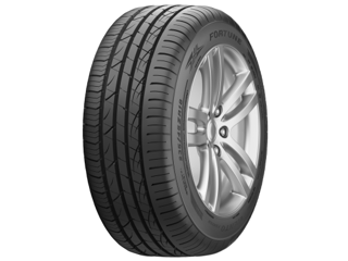 Fortune Viento FSR702 205/45 R17 88W XL