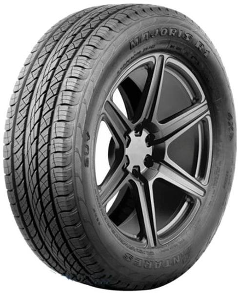 Antares Majoris R1 295/45 R20 114W XL