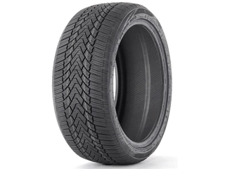 Fronway ICEMASTER I 255/40 R18 99H XL