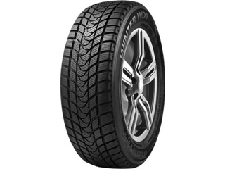 Delinte Winter WD1 165/70 R14 81T