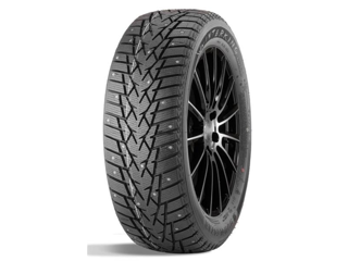 Double Star DW01 225/55 R17 101T XL