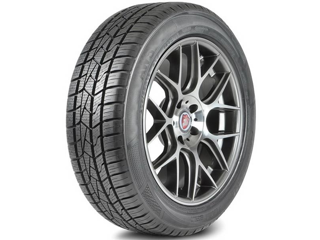 Delinte WINTER AW5 215/65 R17 99V